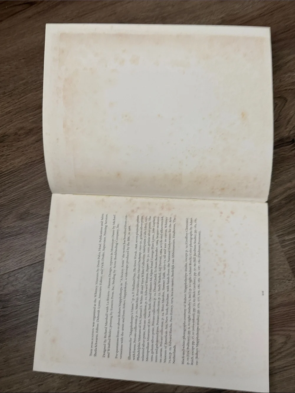 Vintage Robert Mapplethorpe Monograph Art Book Whitney Museum (1988/1990)